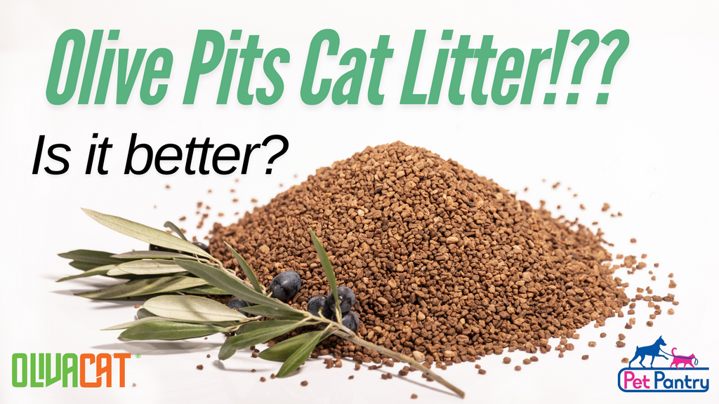 OlivaCat Litter: The Eco-Friendly Choice You Didn’t Know About 🌿